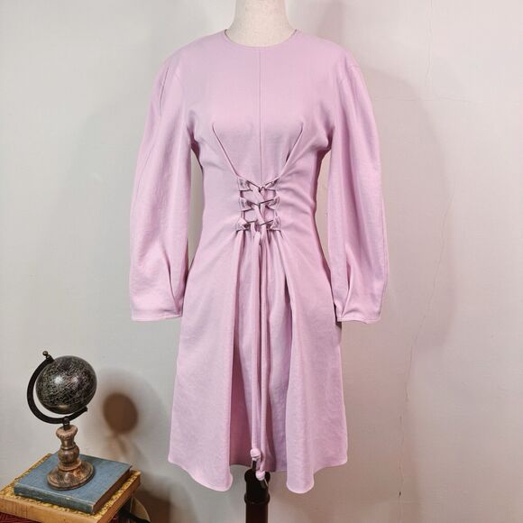 Tibi Womens Mini Dress Front Lace Up Drape Corset Chalky Pink Size 2 Pastel - Picture 1 of 14